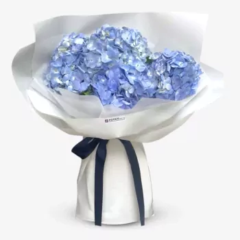 Whispering Hydrangea Clouds