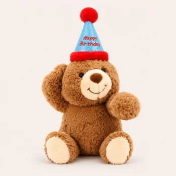 Party Teddy
