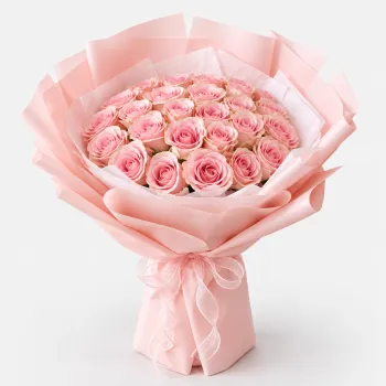 10 Pink Roses Tender Charm