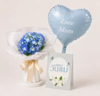 Combo Sweety Mom