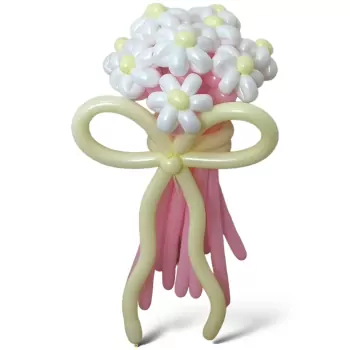12 Daisies Special Bouquet