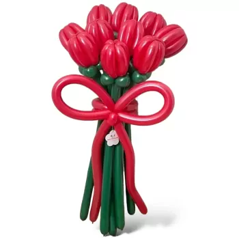 10 Red Tulip Bouquet