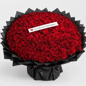 500 Red Roses Unmatched