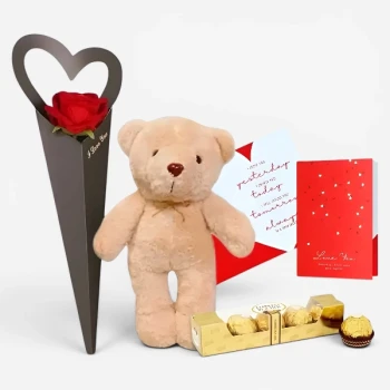 Combo Red Rose Teddy Ferrero and Card