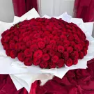 Extravagant bouquet of 200 vibrant red roses, artfully arranged with white paper, symbolizing deep love.
