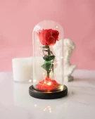 Eternal Love Combo