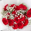 Bouquet of 15 deep red roses with baby's breath, presented in white paper.