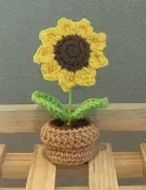 Crochet Sunny Pot