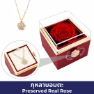Red rose in a jewelry box with a necklace that opens.