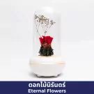 Rose Diffuser