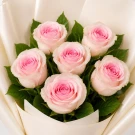 Six pink roses with water droplets, arranged in white paper.