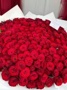 A massive bouquet of 200 deep red roses, some with water droplets, is presented.