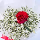 A vibrant red rose is nestled within a bouquet of delicate white limonium flowers.