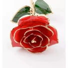 Red rose dipped in 24K gold with gold-trimmed green leaves.