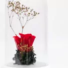 Rose Diffuser