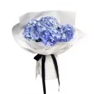 A bouquet of blue hydrangeas wrapped in white paper, tied with a dark blue ribbon.