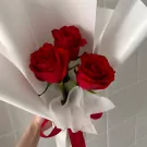 3 Red Roses - 3 red roses