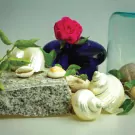 Still life of a pink rose in a blue vase, shells, stones, and glass on a white surface.