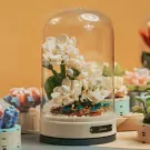 DIY Jasmine Music Box - Standard