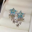 Shooting Stars Earrings - Shooting Stars Earrings