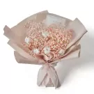 Cotton Dream Dried Flowers - Standard