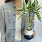 Woman in grey cardigan holding a lucky bamboo plant with a golden heart accent.