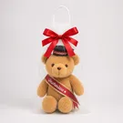 Brown graduation teddy bear in a white mesh bag with a red bow and sash.