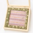 Crimson Elegance Money Box 1