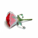 Large red velvet rose with a pleated white collar and iridescent ribbon.
