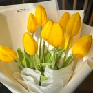 Bright yellow tulips arranged in a bouquet with white and yellow wrapping paper and a ribbon.