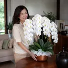 Majestic Orchids Vase 3