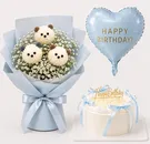 Combo Cute Pastel Birthday