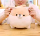 Chubby Shiba