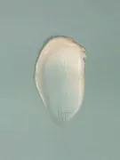 A smear of pale peach body lotion on a muted blue background.