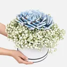 Blue Rose Money Box 2