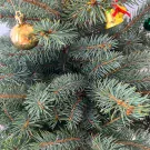 Close-up of a decorated Christmas tree with gold baubles and a gold bell.