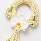 Orchid Delicate Malai