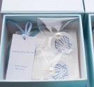 Pearl stud earrings with shell motifs in a blue gift box.