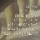 List of ingredients for a shampoo: Lemon, Holy Basil, Lemongrass, Clay Accord, Jasmine Sambac, Banana Blossom, Fresh Water Plant.