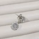 0.5-carat round-cut moissanite diamond stud earrings with a halo setting.