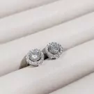 Round-cut moissanite diamond halo stud earrings in white gold.