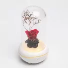 Rose Diffuser