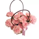 Pink carnations arranged in a modern bag with a ribbon, against a white background.