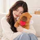 Combo Rosy Teddy 2