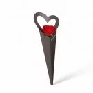 Single Red Rose Offer - Single Red Rose offer
