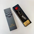 A red 24K gold-dipped rose in a gift box with a certificate.