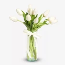 White tulips in a clear glass vase tied with a cream ribbon, set against a white background.
