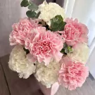 A bouquet of fluffy pink and white carnations interspersed with eucalyptus.