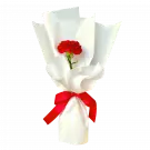 Red carnation in white paper bouquet with red ribbon.