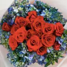 A bouquet of red roses nestled amongst blue hydrangeas, wrapped in sheer paper.